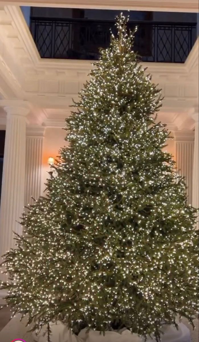 Tendencias de natal- luzes
