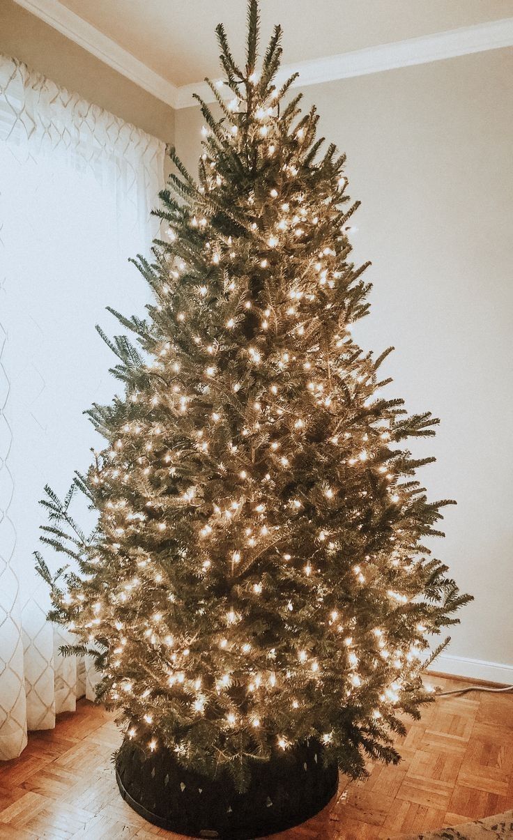 Tendencias de natal- luzes